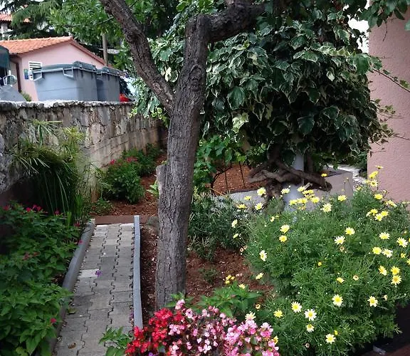 Alice 아파트 풀라