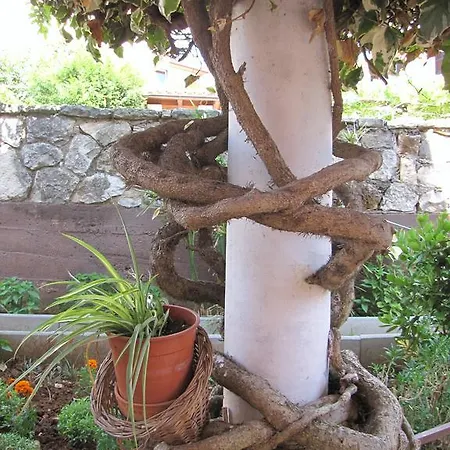 Apartamento Alice Pula